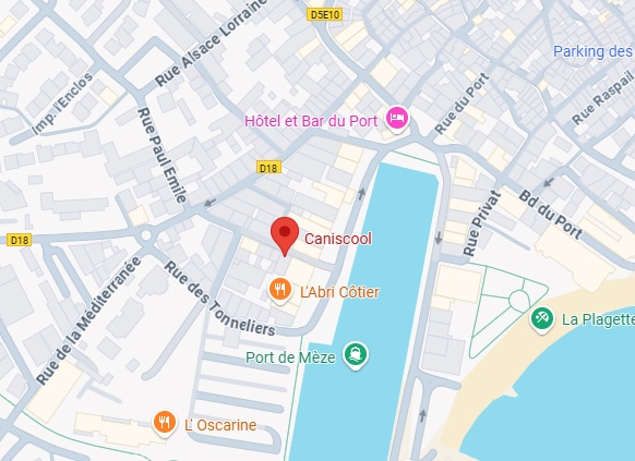Carte détaillée de Mèze centrée sur le port. On y voit Caniscool, l'Hôtel du Port, L'Abri Côtier, la Rue Paul Emile et le Port de Mèze.