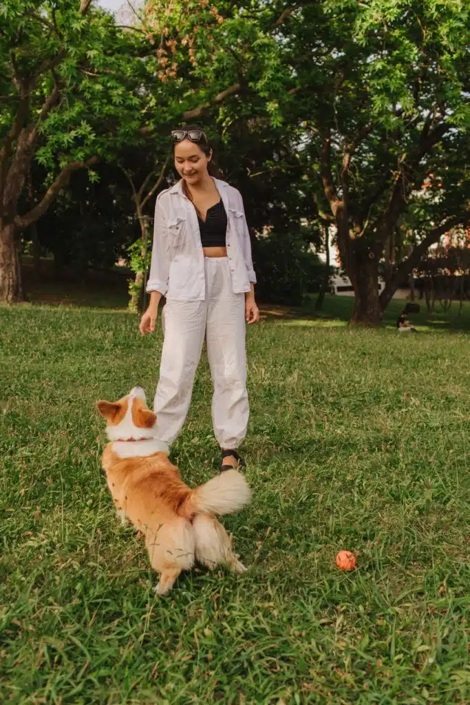 Femme souriante en blanc et noir regardant son corgi roux attentif dans un parc verdoyant, une balle orange à côté.