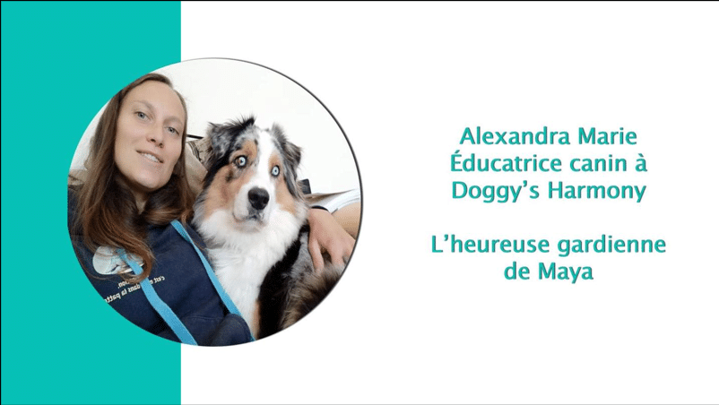 Alexandra Marie, éducatrice canin Doggy's Harmony, souriante avec Maya, son chien merle aux yeux bleus.