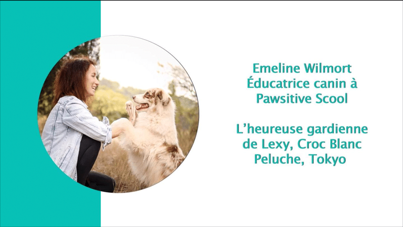 Emeline Wilmort, éducatrice canin à Pawsitive Scool, souriante, donne la patte à un chien. Mention des chiens Lexy, Croc Blanc, Peluche, Tokyo.