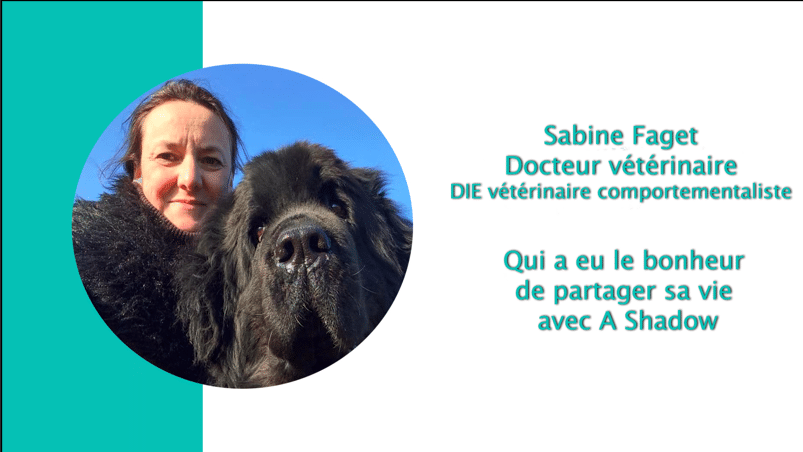 Sabine Faget, vétérinaire comportementaliste, souriante avec son grand chien noir A Shadow. Texte: 'Qui a eu le bonheur de partager sa vie avec A Shadow'.